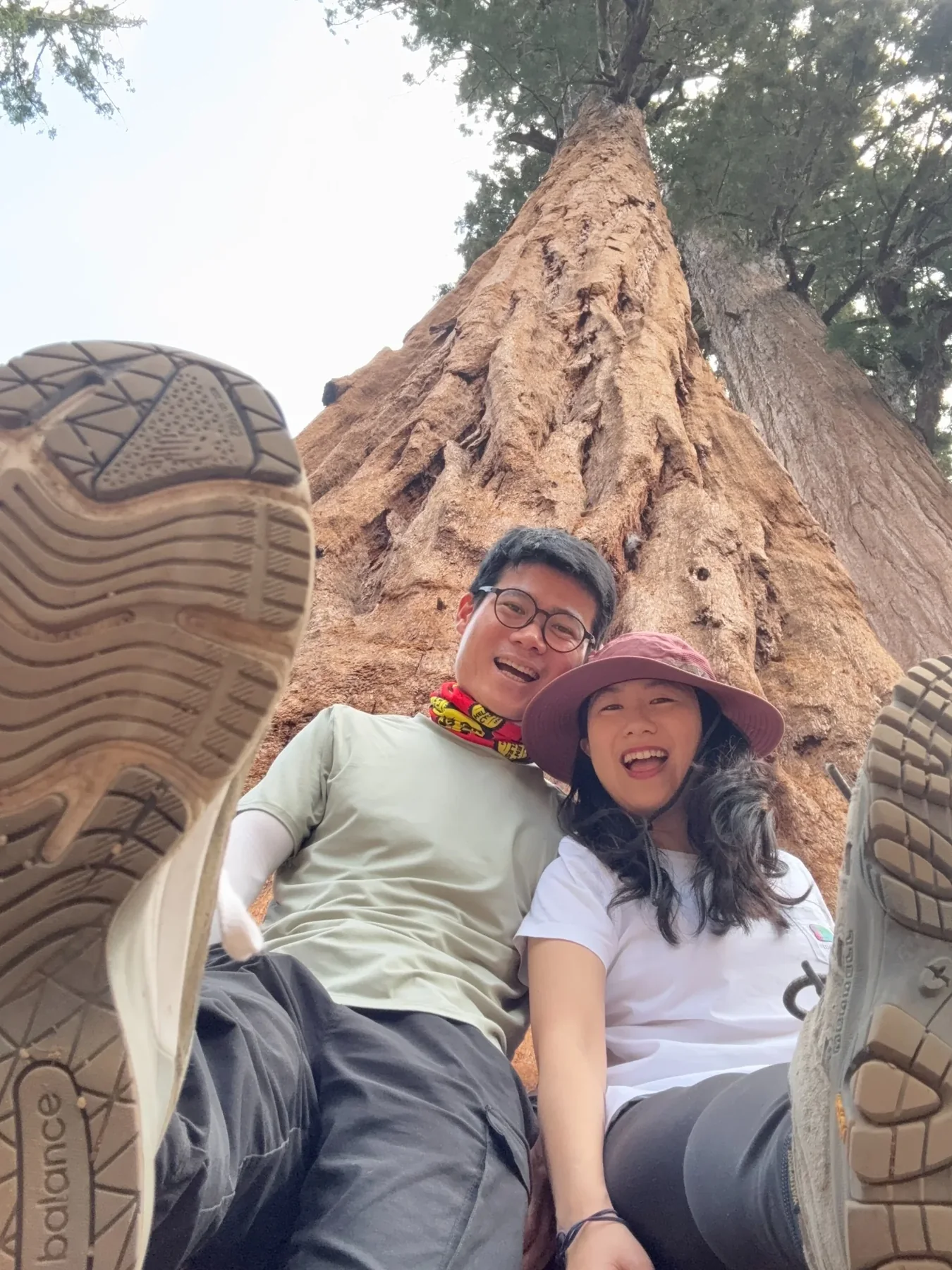 Erge and Long among giant sequoias